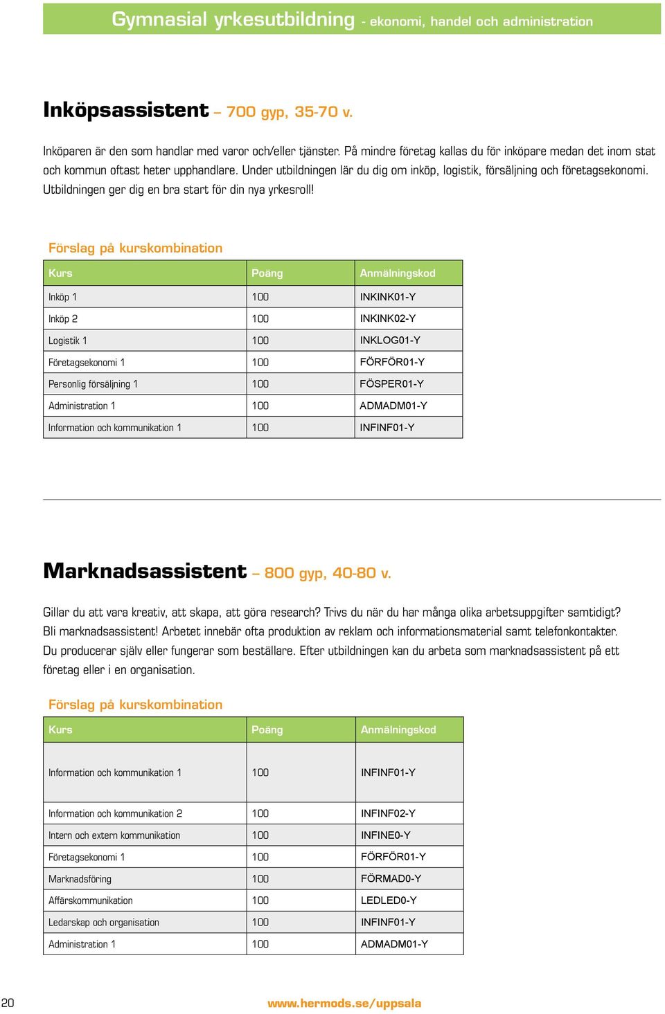 Utbildningen ger dig en bra start för din nya yrkesroll!