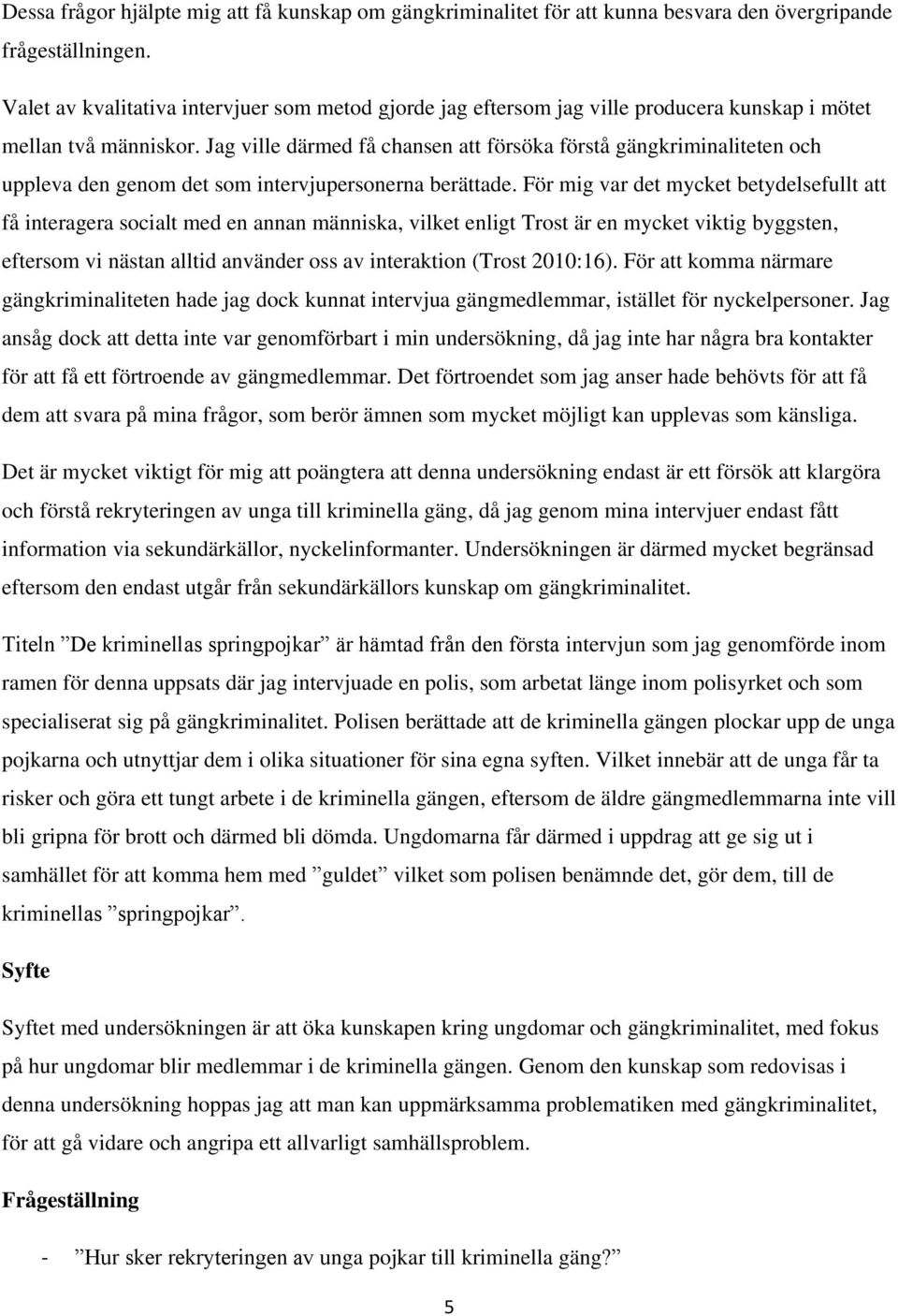 Jag ville därmed få chansen att försöka förstå gängkriminaliteten och uppleva den genom det som intervjupersonerna berättade.