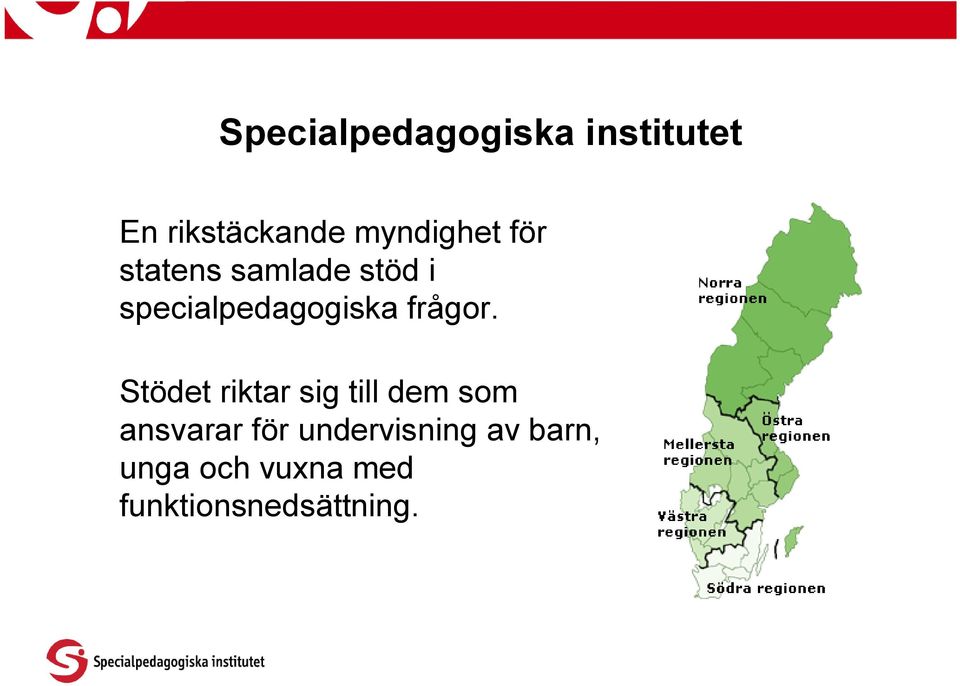 specialpedagogiska frågor.