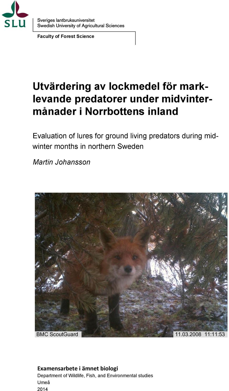 predators during midwinter months in northern Sweden Martin Johansson