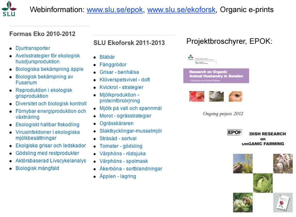 se/ekoforsk, Organic