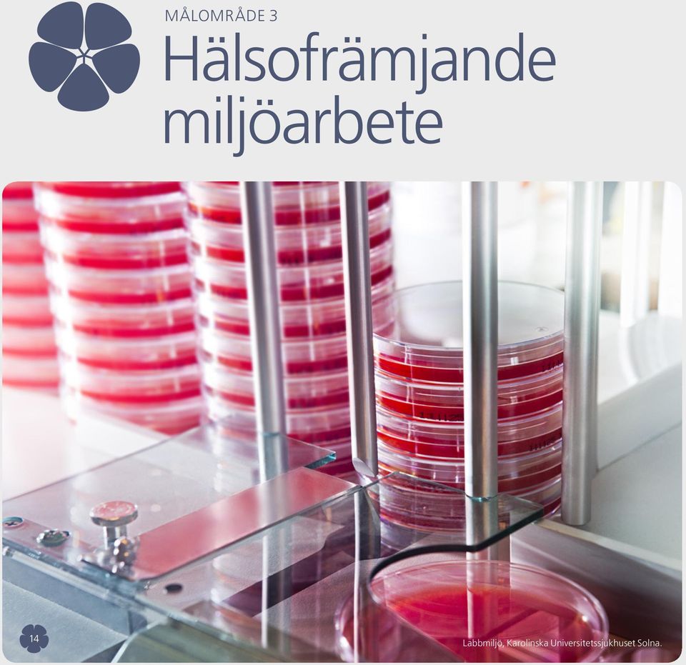 miljöarbete 14