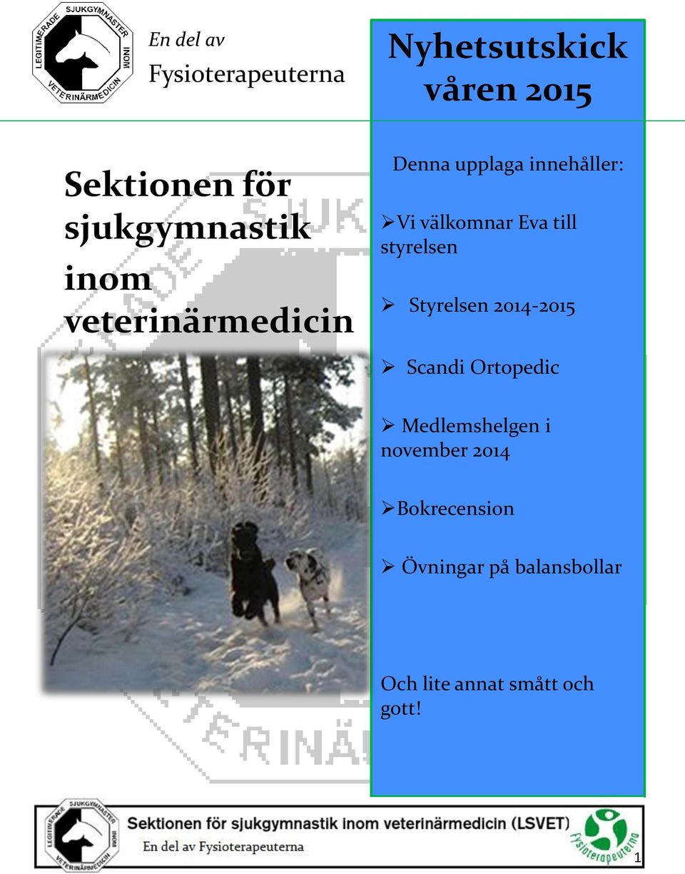 Eva till styrelsen Styrelsen 2014-2015 Scandi Ortopedic Medlemshelgen i