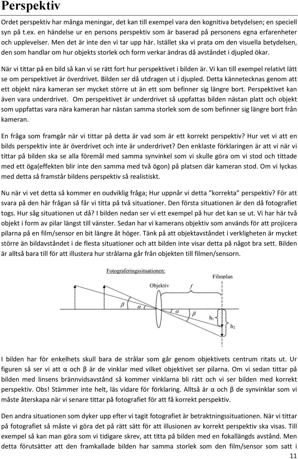 När vi tittar på en bild så kan vi se rätt fort hur perspektivet i bilden är. Vi kan till exempel relativt lätt se om perspektivet är överdrivet. Bilden ser då utdragen ut i djupled.