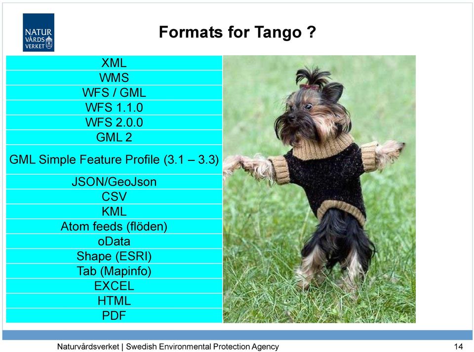 3) JSON/GeoJson CSV KML Atom feeds (flöden) odata Shape