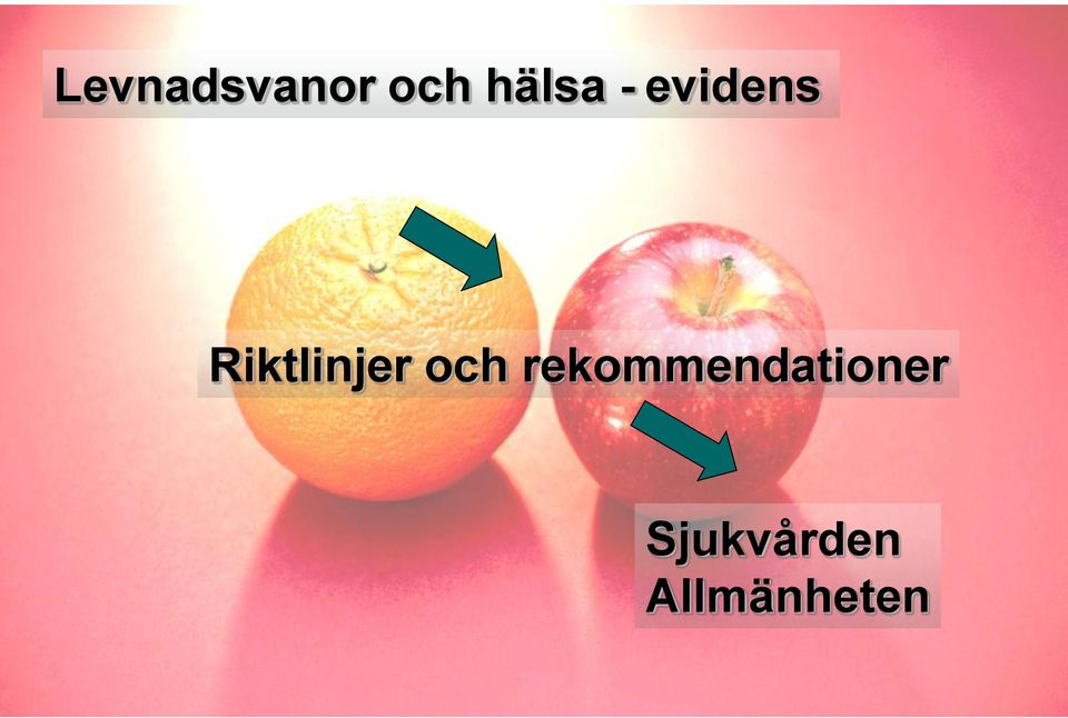 Riktlinjer och