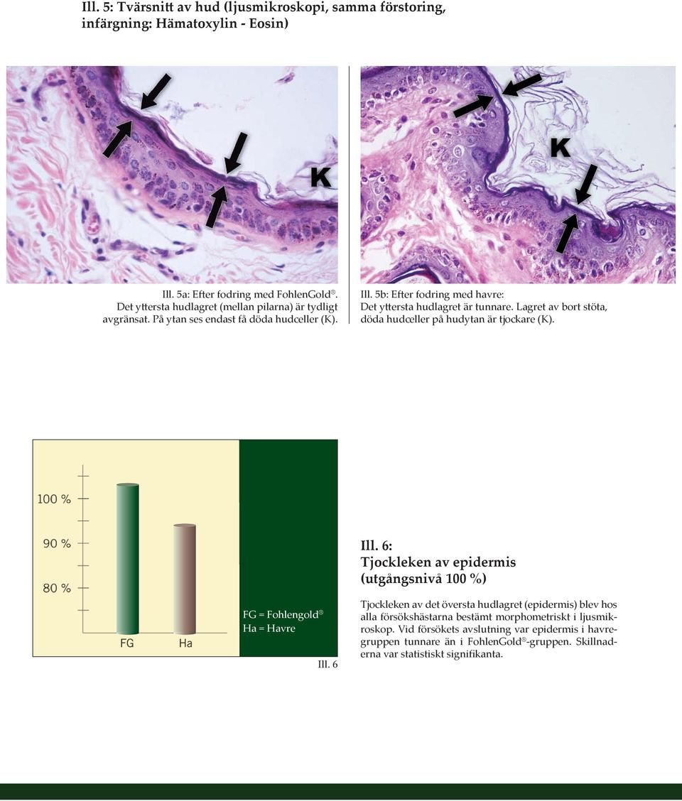 Lagret av bort stöta, döda hudceller på hudytan är tjockare (K). Ill. 6: Tjockleken av epidermis (utgångsnivå 100 %) FG = Fohlengold Ha = Havre Ill.