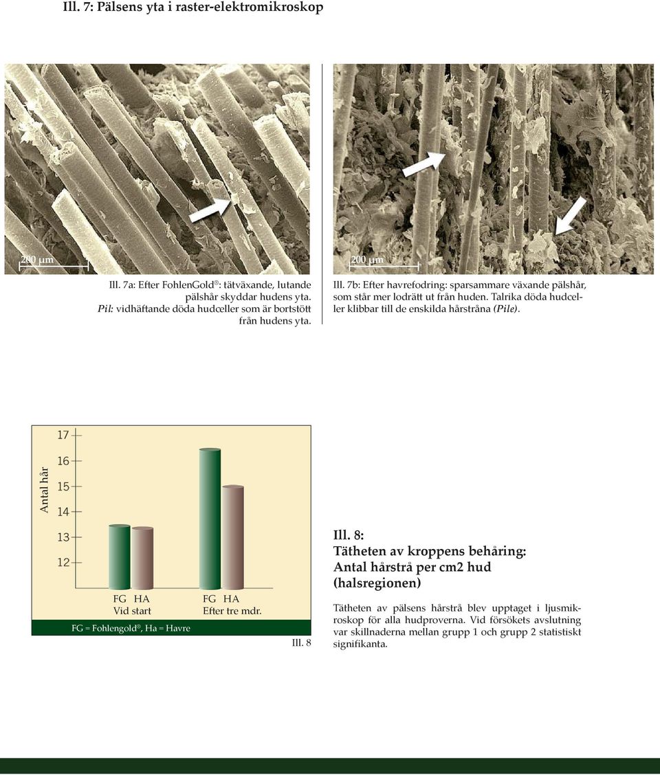 Talrika döda hudceller klibbar till de enskilda hårstråna (Pile). Antal hår FG HA Vid start FG = Fohlengold, Ha = Havre FG HA Efter tre mdr. Ill. 8 Ill.
