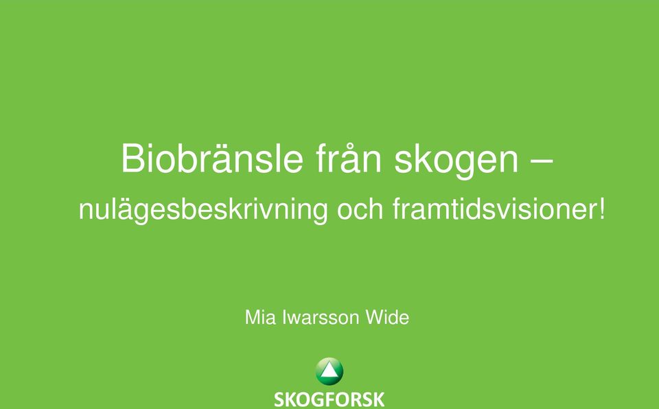 nulägesbeskrivning
