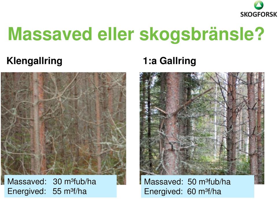 Massaved: 30 m³fub/ha Energived: