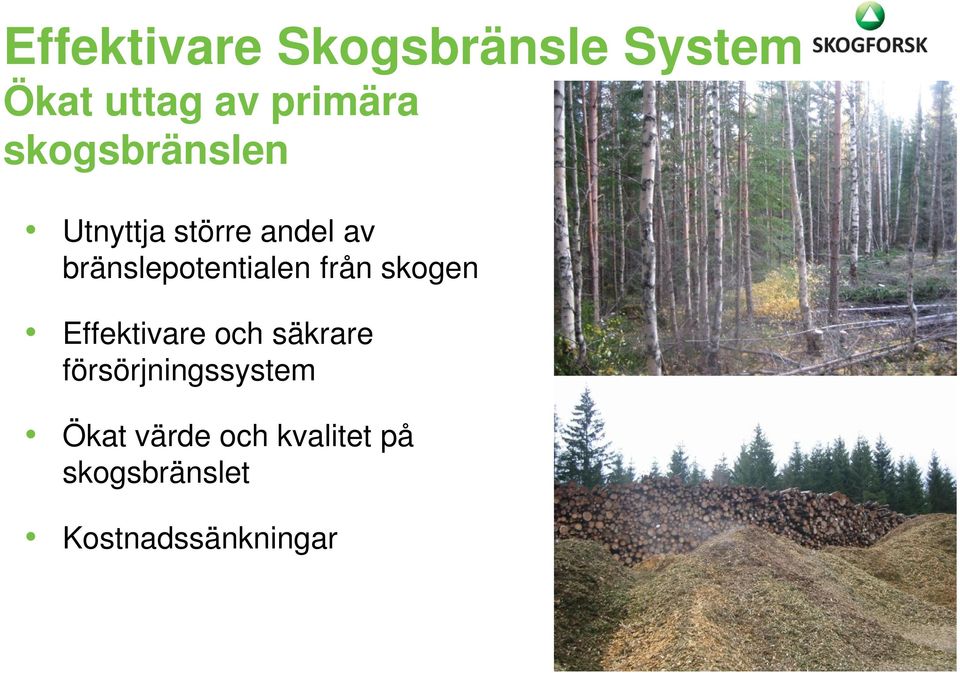 bränslepotentialen från skogen Effektivare och säkrare