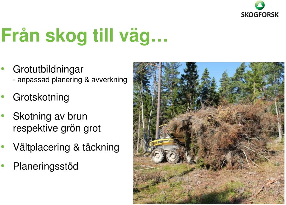 Grotskotning Skotning av brun