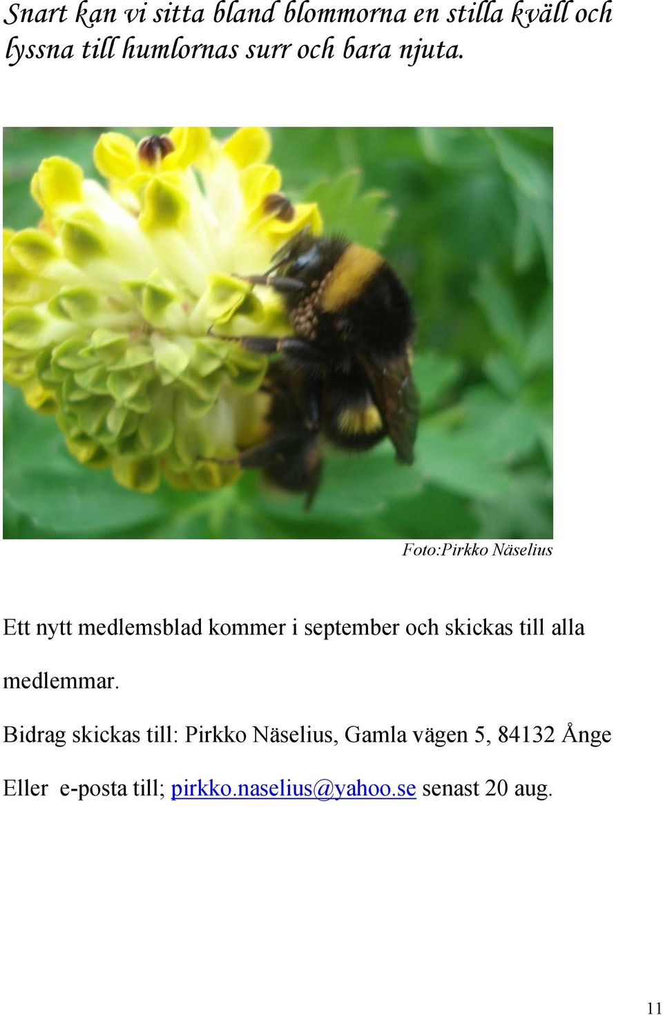 Foto:Pirkko Näselius Ett nytt medlemsblad kommer i september och skickas till