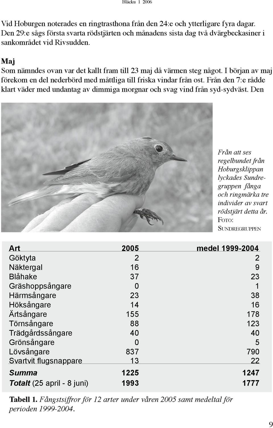 Från den 7:e rådde klart väder med undantag av dimmiga morgnar och svag vind från syd-sydväst.