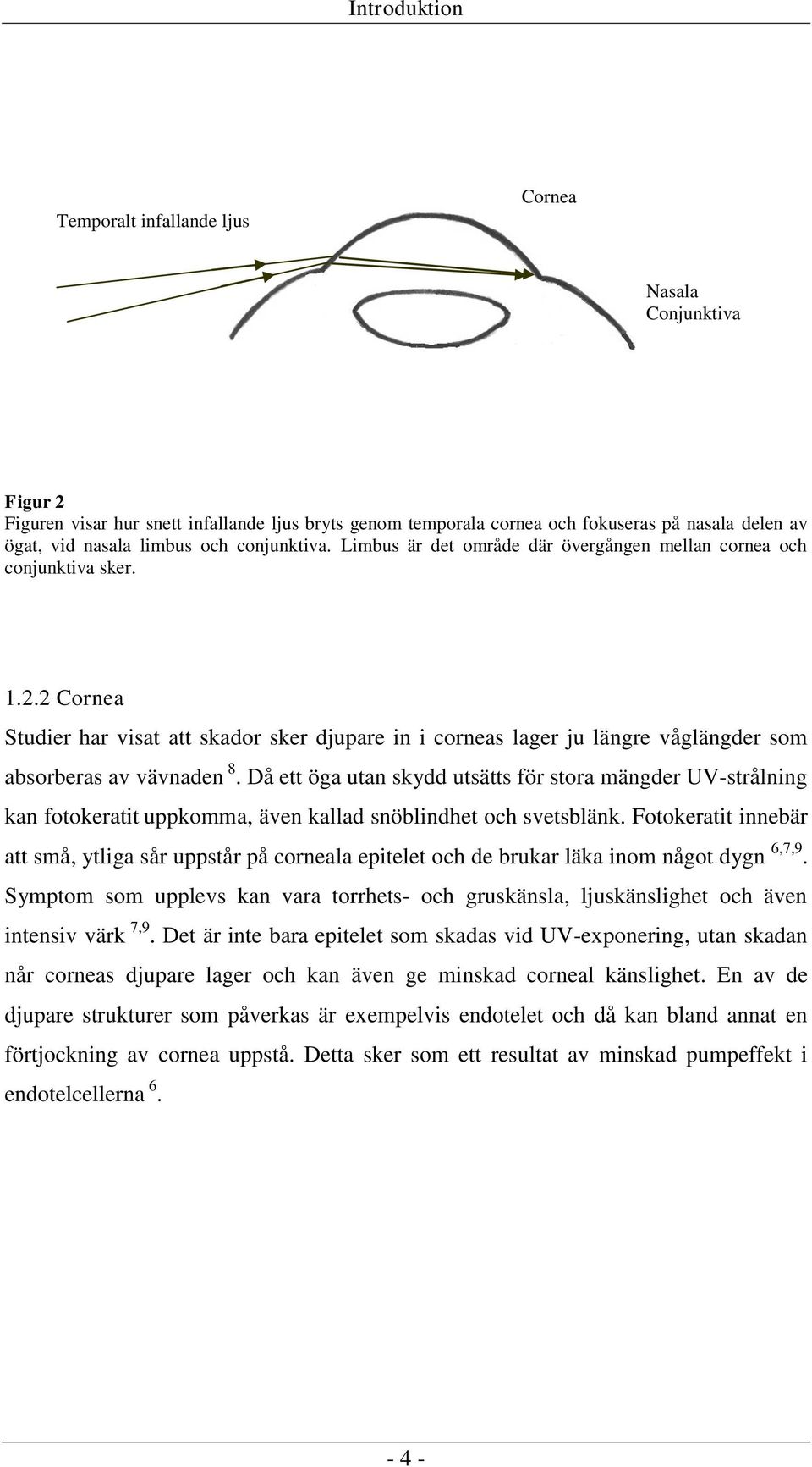 2 Cornea Studier har visat att skador sker djupare in i corneas lager ju längre våglängder som absorberas av vävnaden 8.