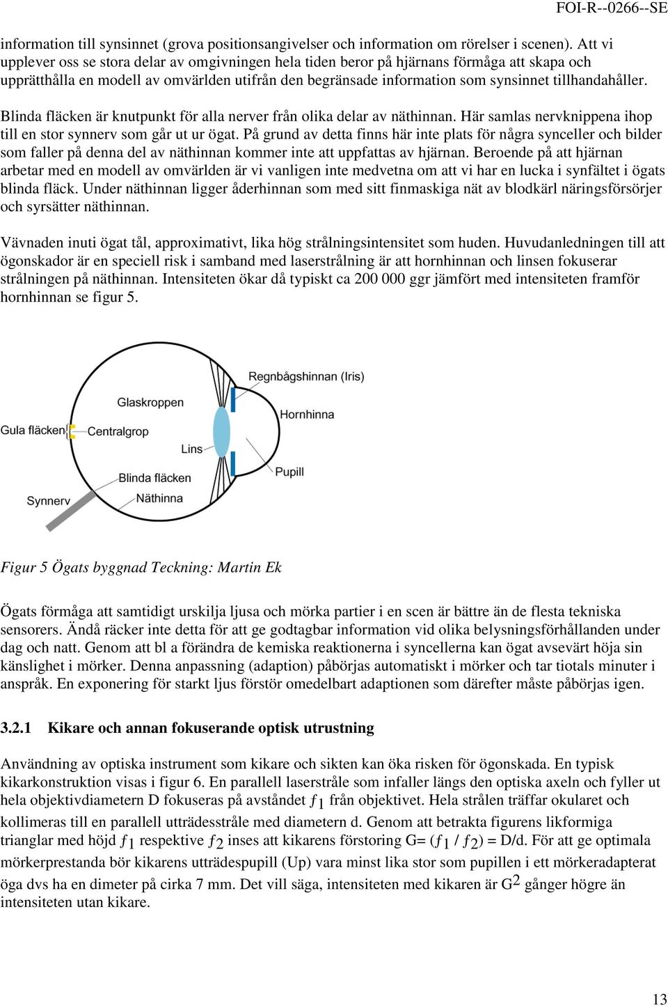 tillhandahåller. Blinda fläcken är knutpunkt för alla nerver från olika delar av näthinnan. Här samlas nervknippena ihop till en stor synnerv som går ut ur ögat.