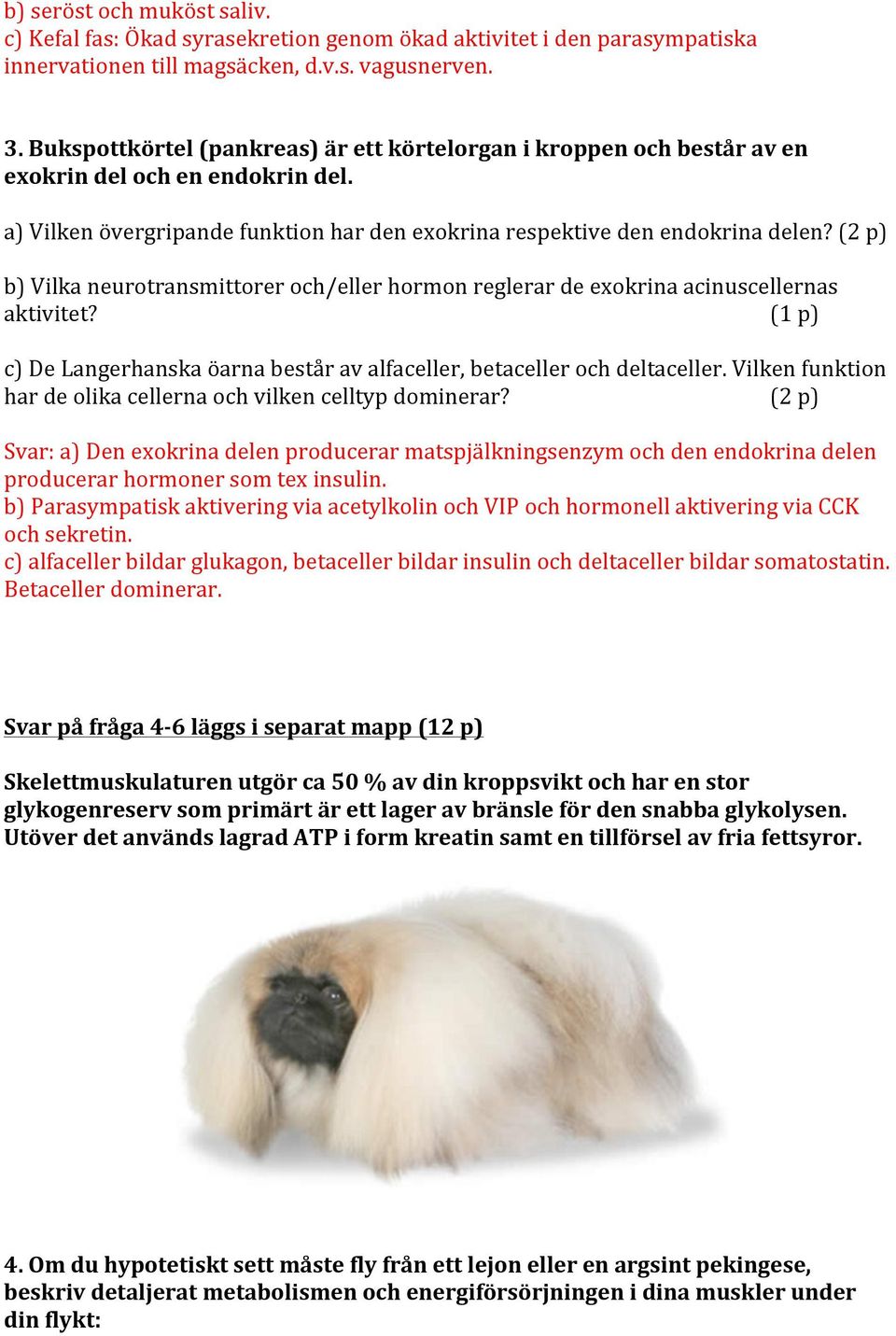 b) Vilka neurotransmittorer och/eller hormon reglerar de exokrina acinuscellernas aktivitet? (1 p) c) De Langerhanska öarna består av alfaceller, betaceller och deltaceller.