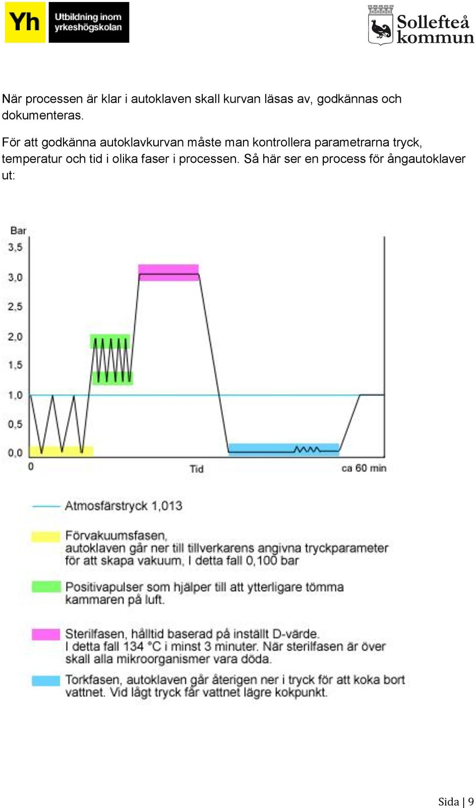 För att godkänna autoklavkurvan måste man kontrollera