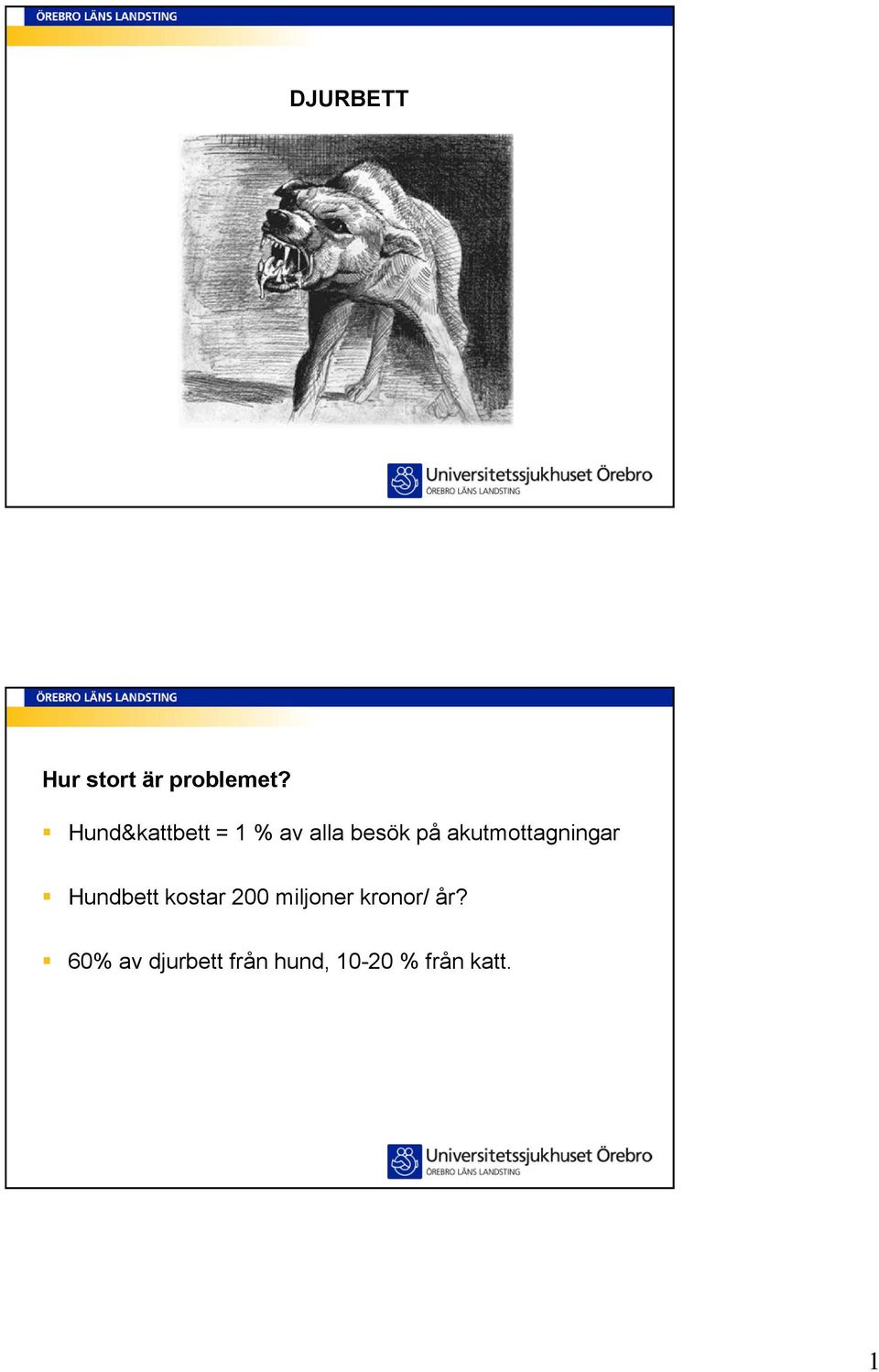 akutmottagningar Hundbett kostar 200