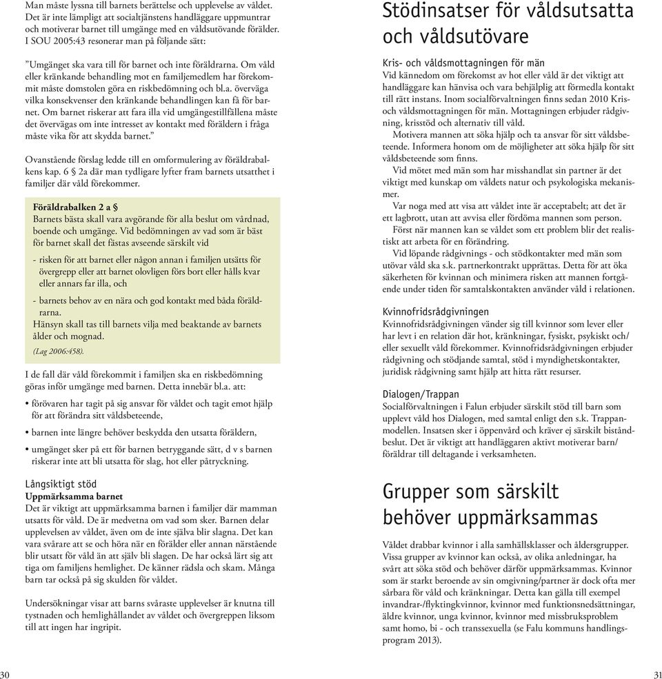 Om våld eller kränkande behandling mot en familjemedlem har förekommit måste domstolen göra en riskbedömning och bl.a. överväga vilka konsekvenser den kränkande behandlingen kan få för barnet.