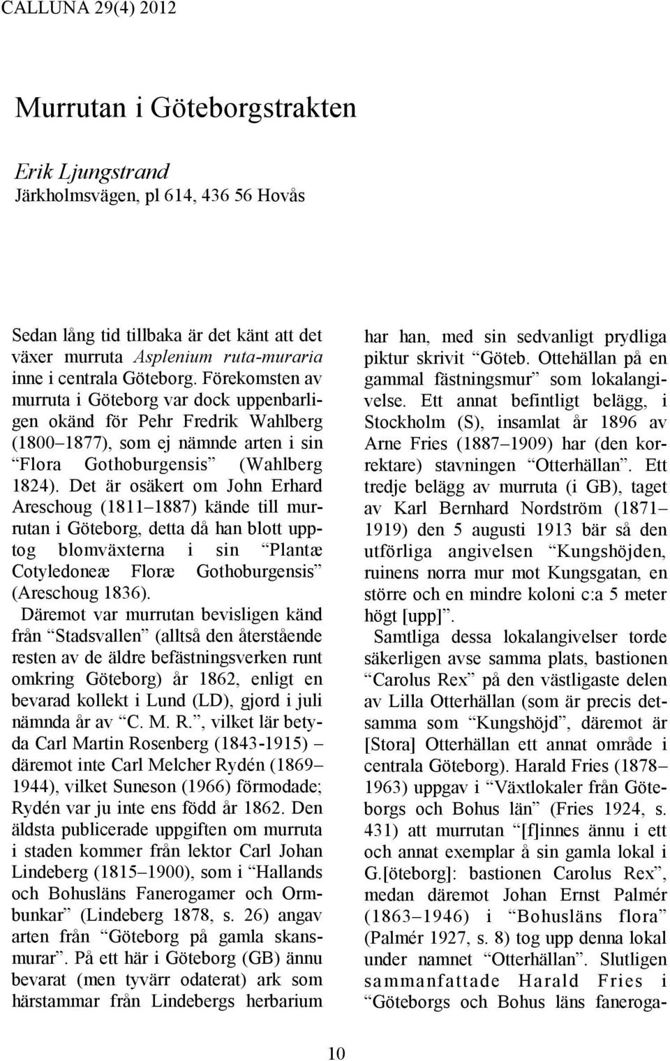 Det är osäkert om John Erhard Areschoug (1811 1887) kände till murrutan i Göteborg, detta då han blott upptog blomväxterna i sin Plantæ Cotyledoneæ Floræ Gothoburgensis (Areschoug 1836).