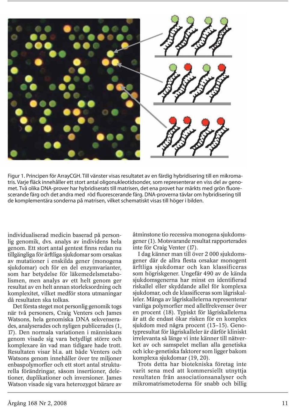 Två olika DNA-prover har hybridiserats till matrisen, det ena provet har märkts med grön fluorescerande färg och det andra med röd fluorescerande färg.