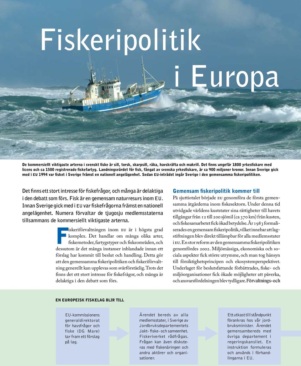 Innan Sverige gick med i EU 1994 var fisket i Sverige främst en nationell angelägenhet. Sedan EU-inträdet ingår Sverige i den gemensamma fiskeripolitiken.