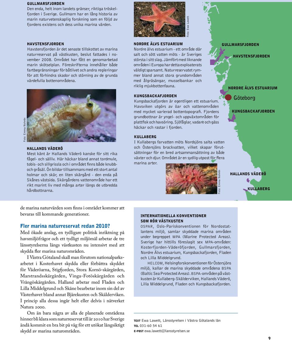 Havstensfjorden Havstensfjorden är det senaste tillskottet av marina naturreservat på västkusten, beslut fattades i november 2008. Området har fått en genomarbetad marin skötselplan.