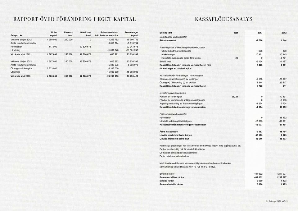 000 92 526 678-613 282 93 830 396 Vid årets början 2013 1 667 000 250 000 92 526 678-613 282 93 830 396 Årets resultat/totalresultat -5 336 973-5 336 973 Ökning av aktiekapital 2 333 000-2 333 000