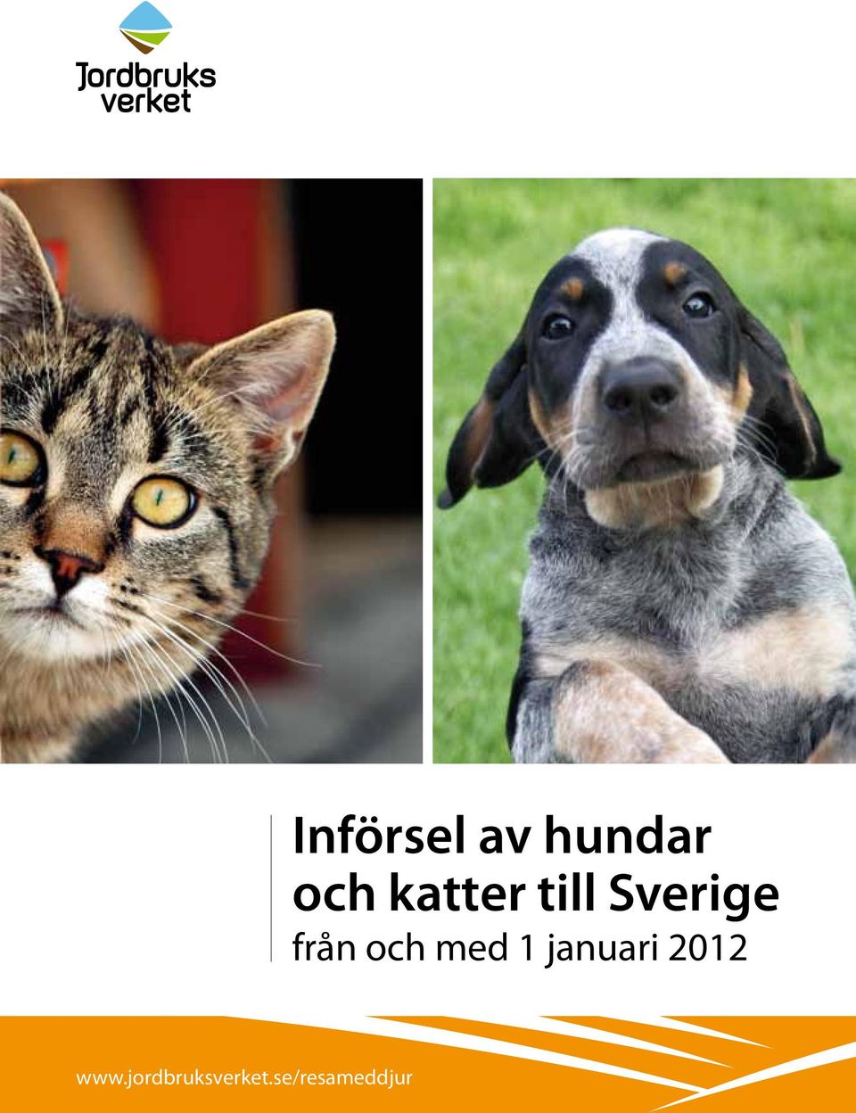 hundar och katter till