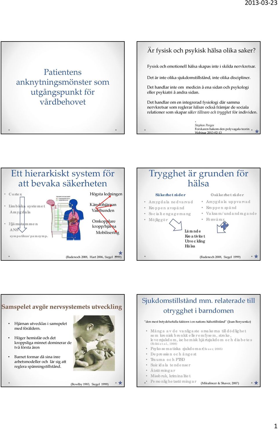 Det handlar om en integrerad fysiologi där samma nervkretsar som reglerar hälsan också främjar de sociala relationer som skapar säker tillvaro och trygghet för individen.