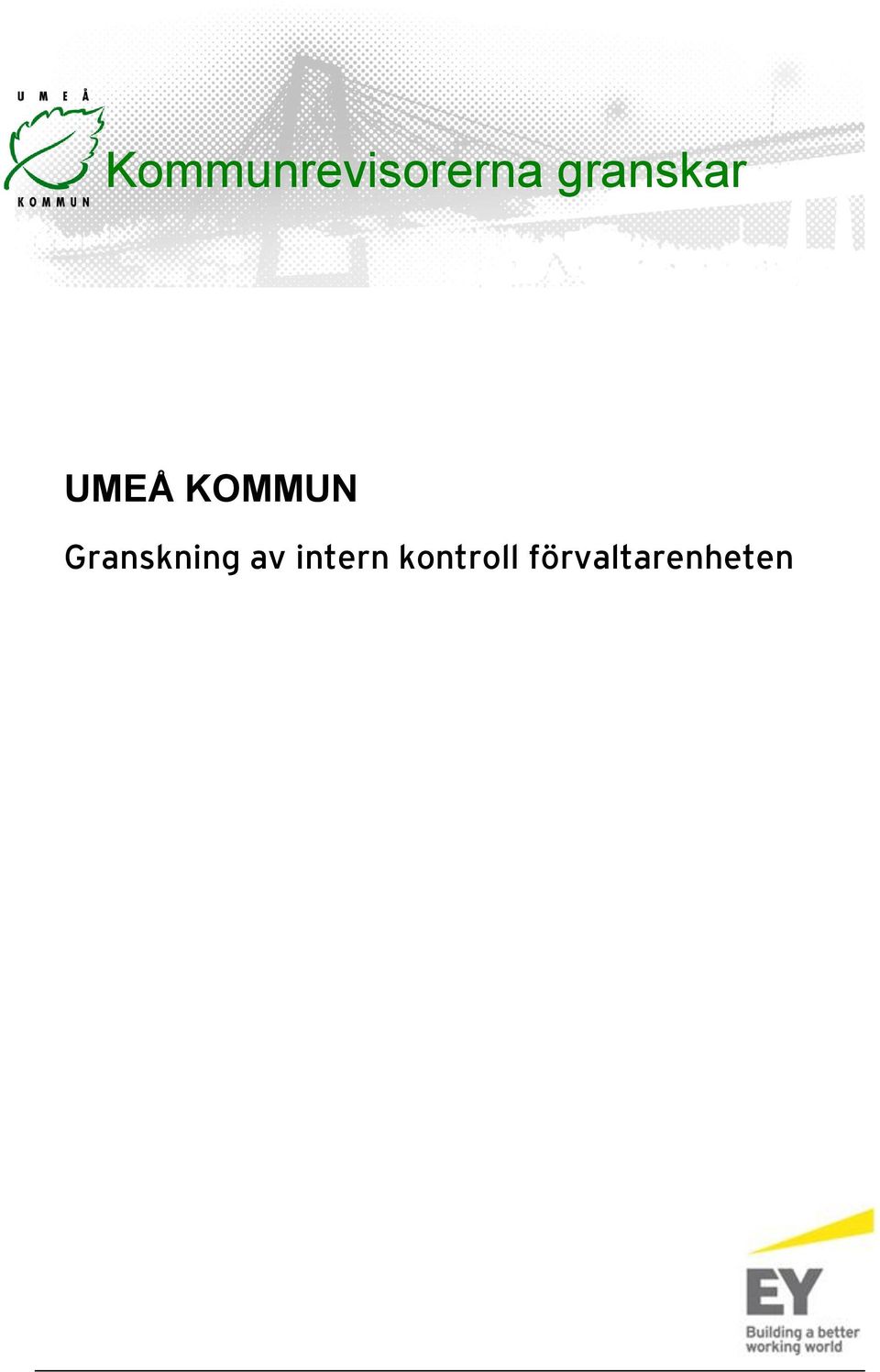 Granskning av intern