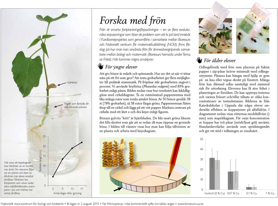 I Kardborreprojektet, som genomförts i samarbete mellan Bioresurs och Nationellt centrum för matematikutbildning (NCM), finns förslag på hur man kan använda frön för ämnesövergripande samarbete