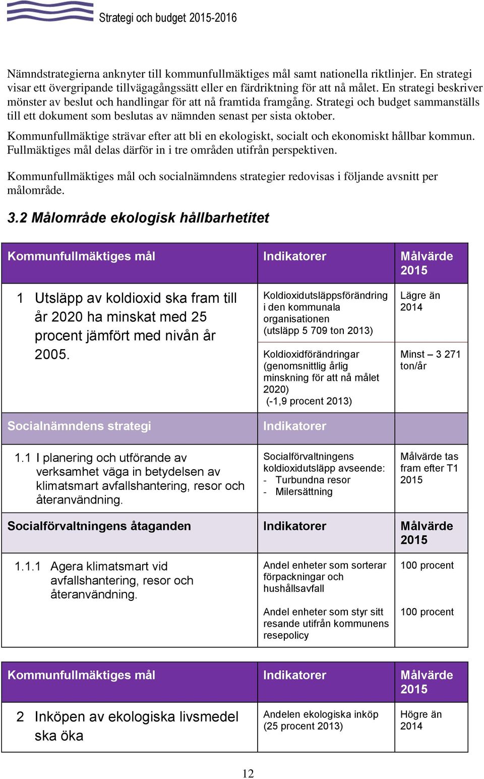 Strategi och budget sammanställs till ett dokument som beslutas av nämnden senast per sista oktober. Kommunfullmäktige strävar efter att bli en ekologiskt, socialt och ekonomiskt hållbar kommun.