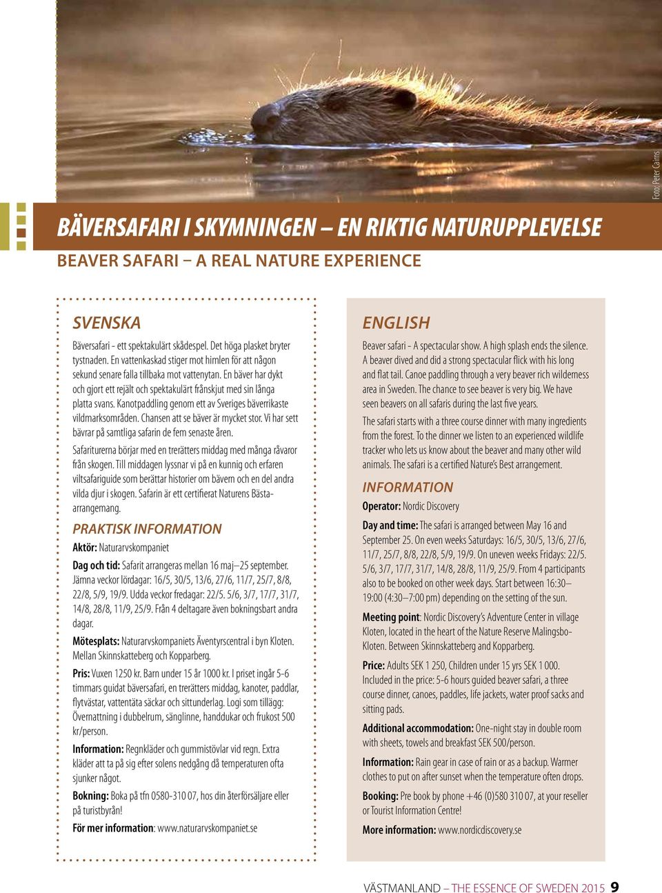 Kanotpaddling genom ett av Sveriges bäverrikaste vildmarksområden. Chansen att se bäver är mycket stor. Vi har sett bävrar på samtliga safarin de fem senaste åren.