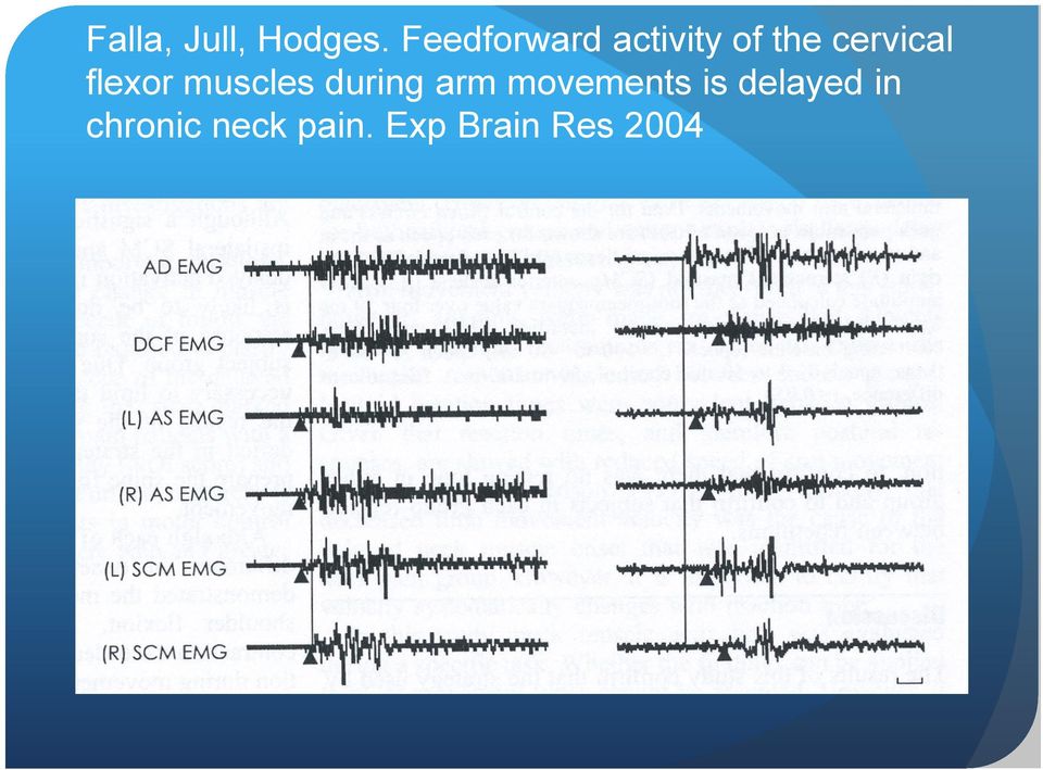 flexor muscles during arm movements