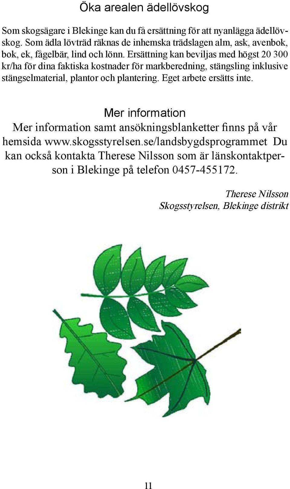 Ersättning kan beviljas med högst 20 300 kr/ha för dina faktiska kostnader för markberedning, stängsling inklusive stängselmaterial, plantor och plantering.