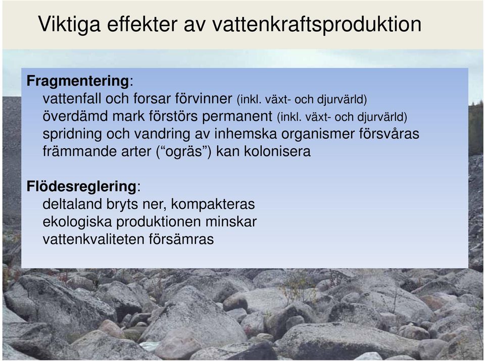 växt- och djurvärld) spridning och vandring av inhemska organismer försvåras främmande arter (