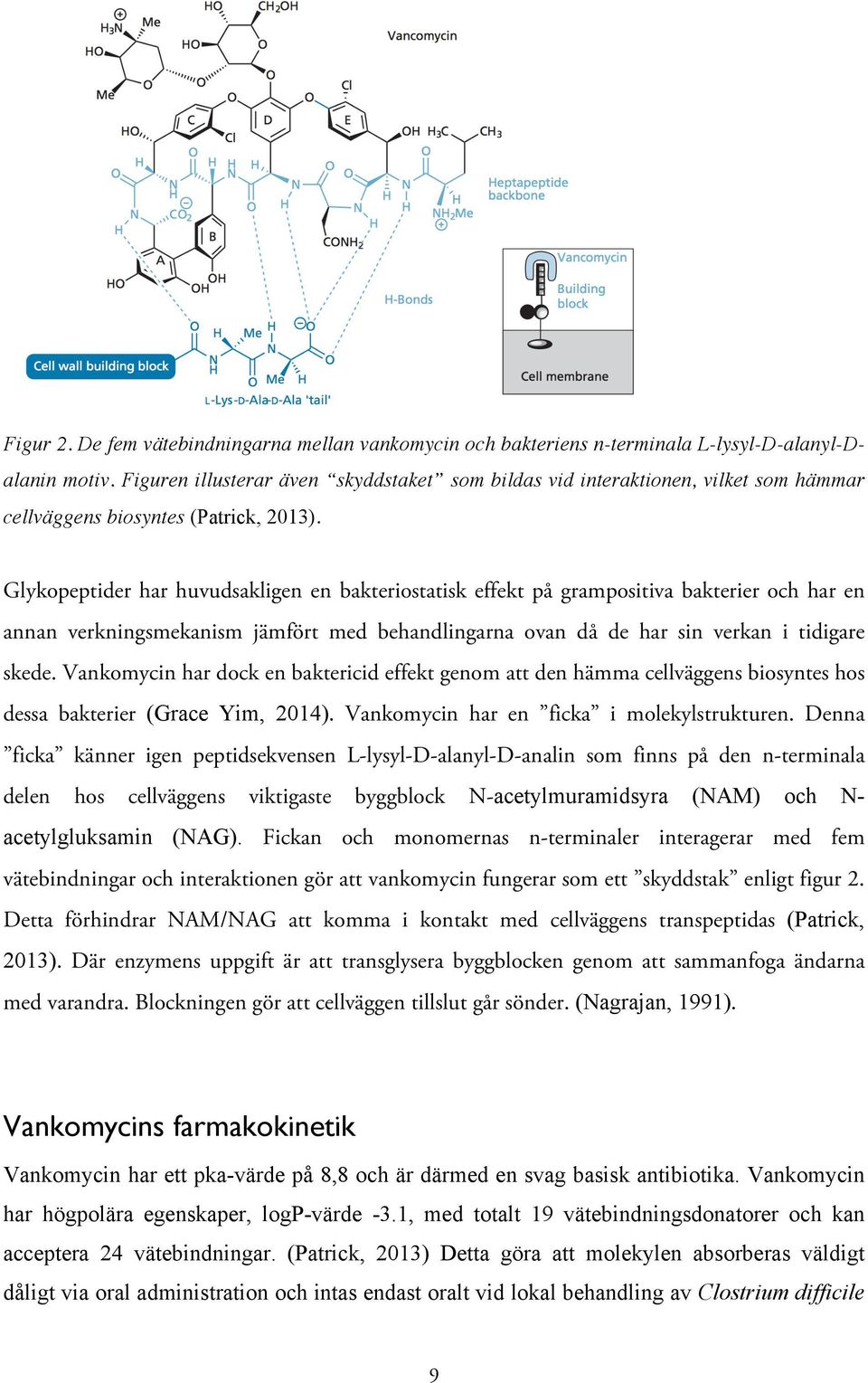 Glykopeptider har huvudsakligen en bakteriostatisk effekt på grampositiva bakterier och har en annan verkningsmekanism jämfört med behandlingarna ovan då de har sin verkan i tidigare skede.