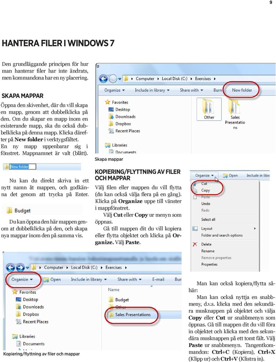 Klicka därefter på New folder i verktygsfältet. En ny mapp uppenbarar sig i fönstret. Mappnamnet är valt (blått).