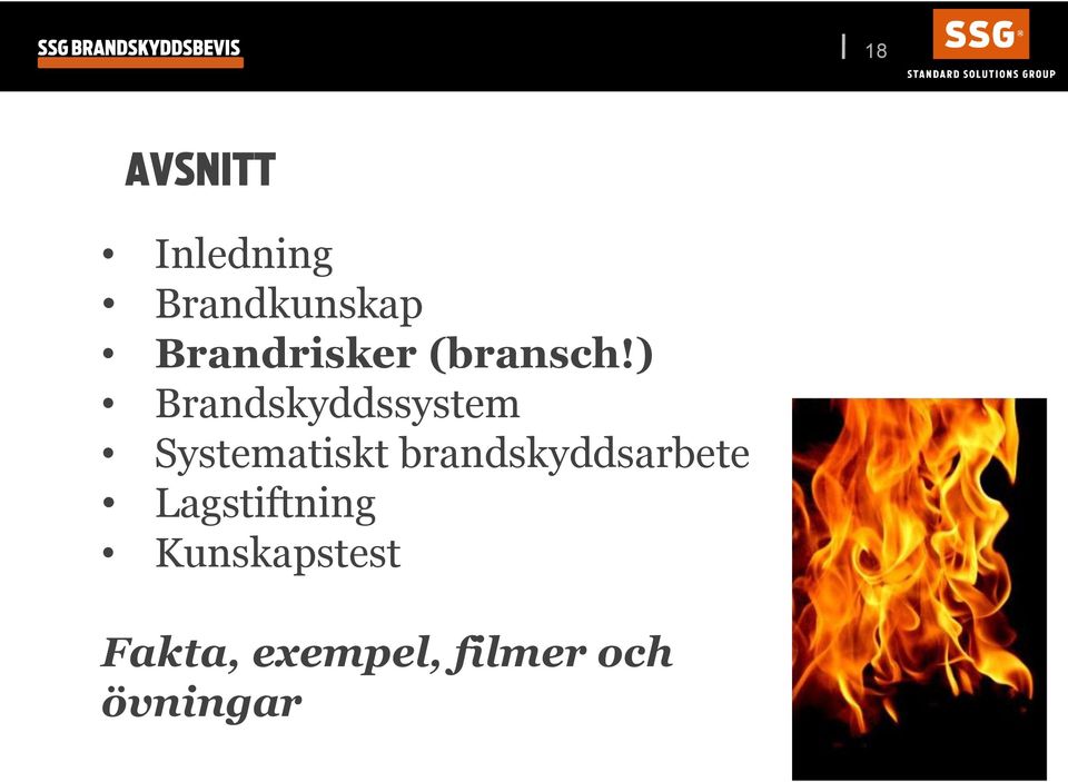 ) Brandskyddssystem Systematiskt