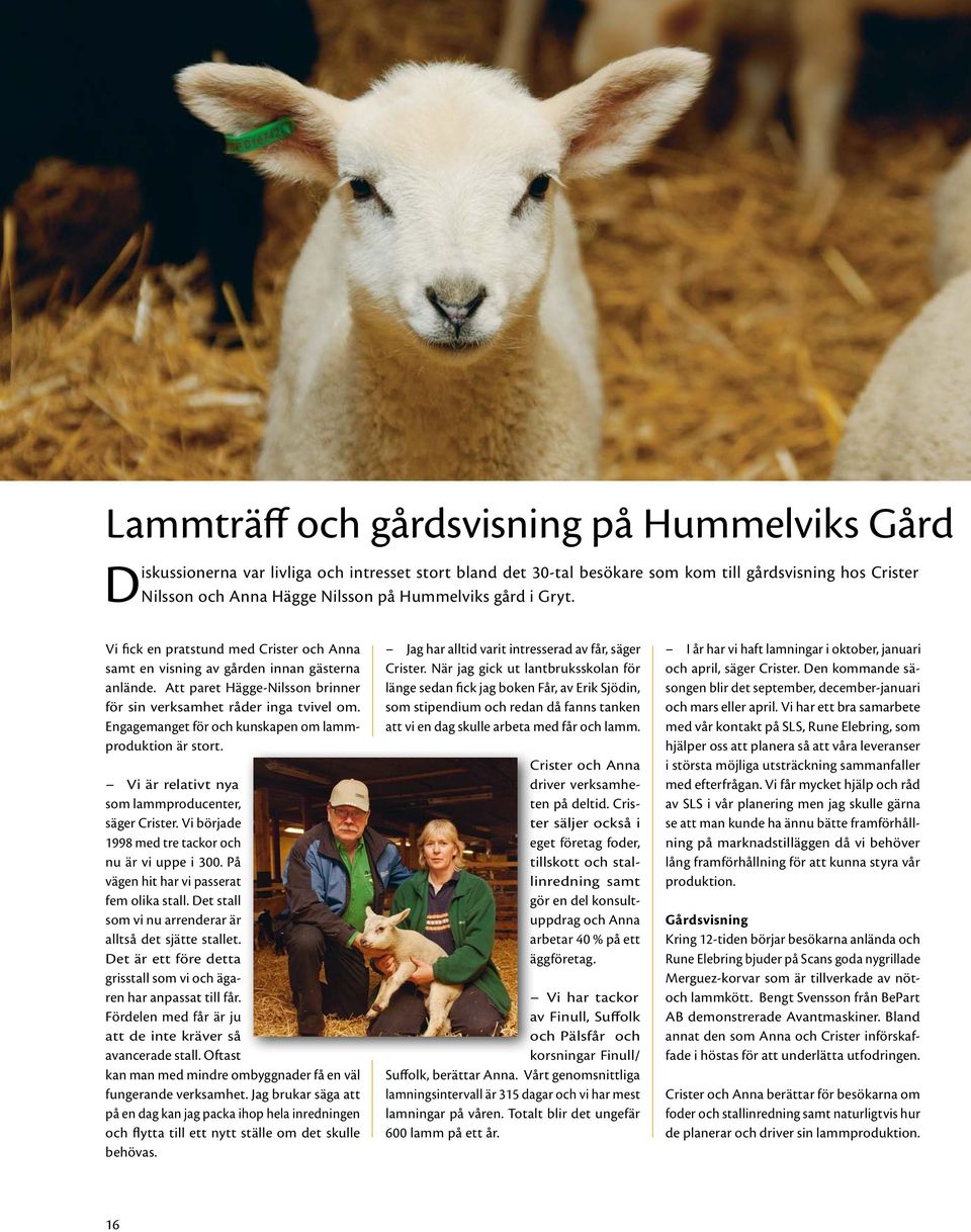 Engagemanget för och kunskapen om lammproduktion är stort. Vi är relativt nya som lammproducenter, säger Crister. Vi började 1998 med tre tackor och nu är vi uppe i 300.