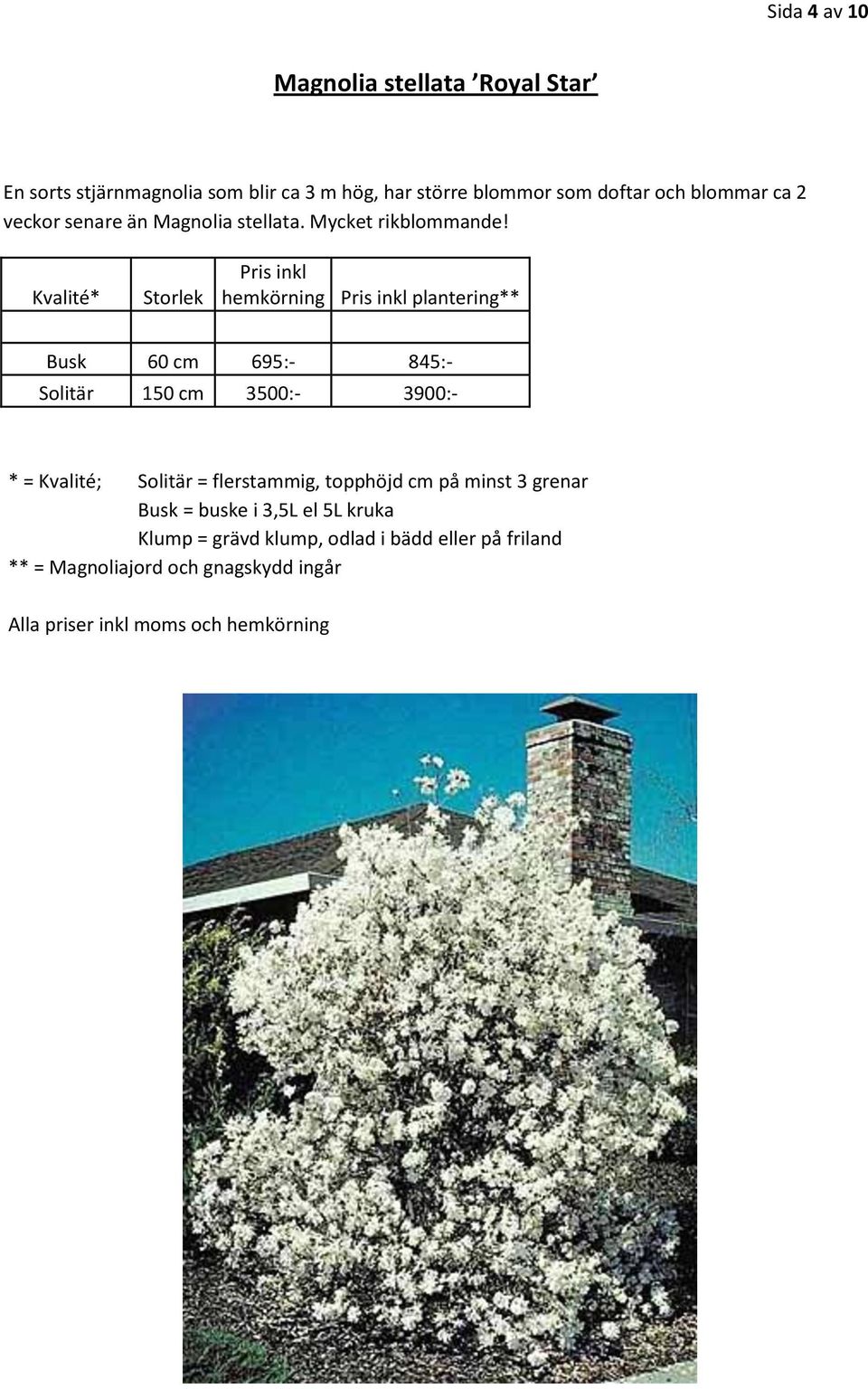 doftar och blommar ca 2 veckor senare än Magnolia stellata.