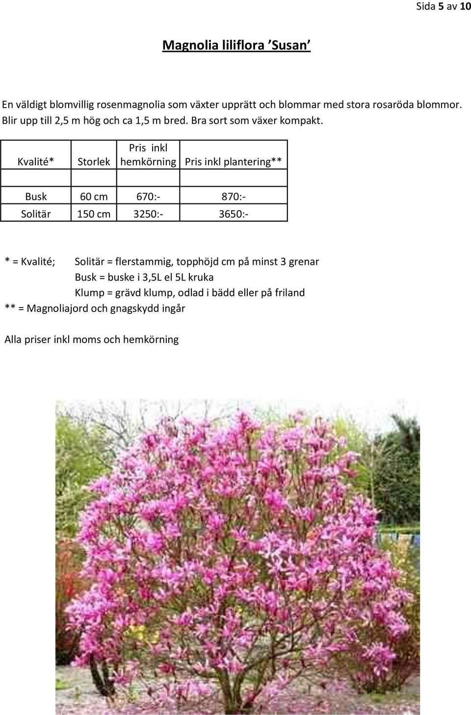 blommor. Blir upp till 2,5 m hög och ca 1,5 m bred.