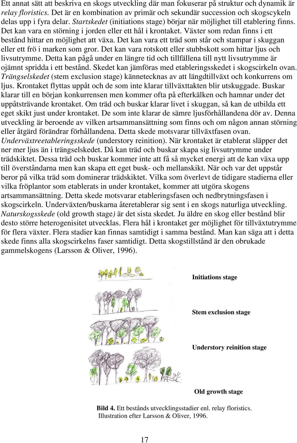 Det kan vara en störning i jorden eller ett hål i krontaket. Växter som redan finns i ett bestånd hittar en möjlighet att växa.