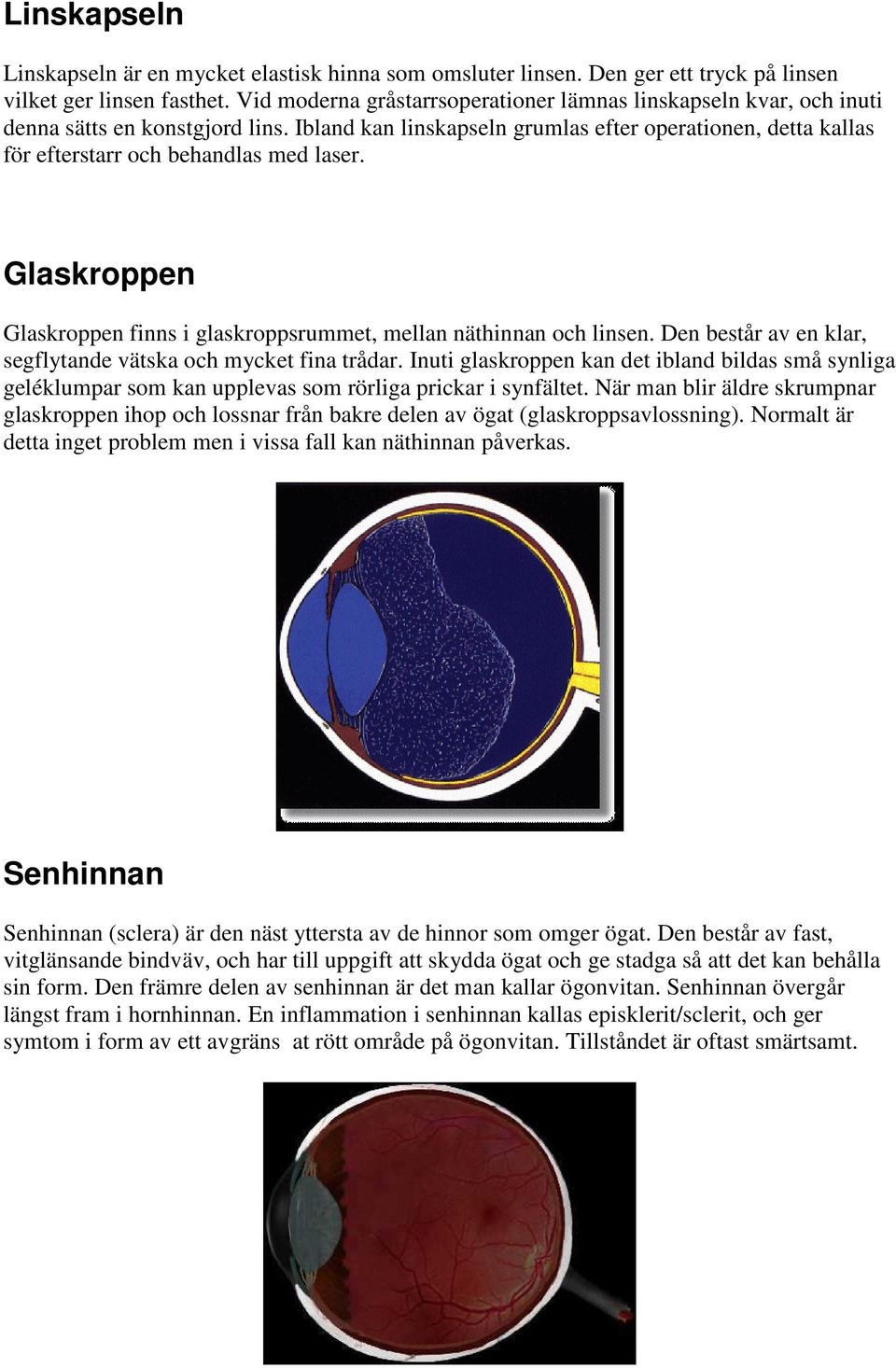 Ibland kan linskapseln grumlas efter operationen, detta kallas för efterstarr och behandlas med laser. Glaskroppen Glaskroppen finns i glaskroppsrummet, mellan näthinnan och linsen.