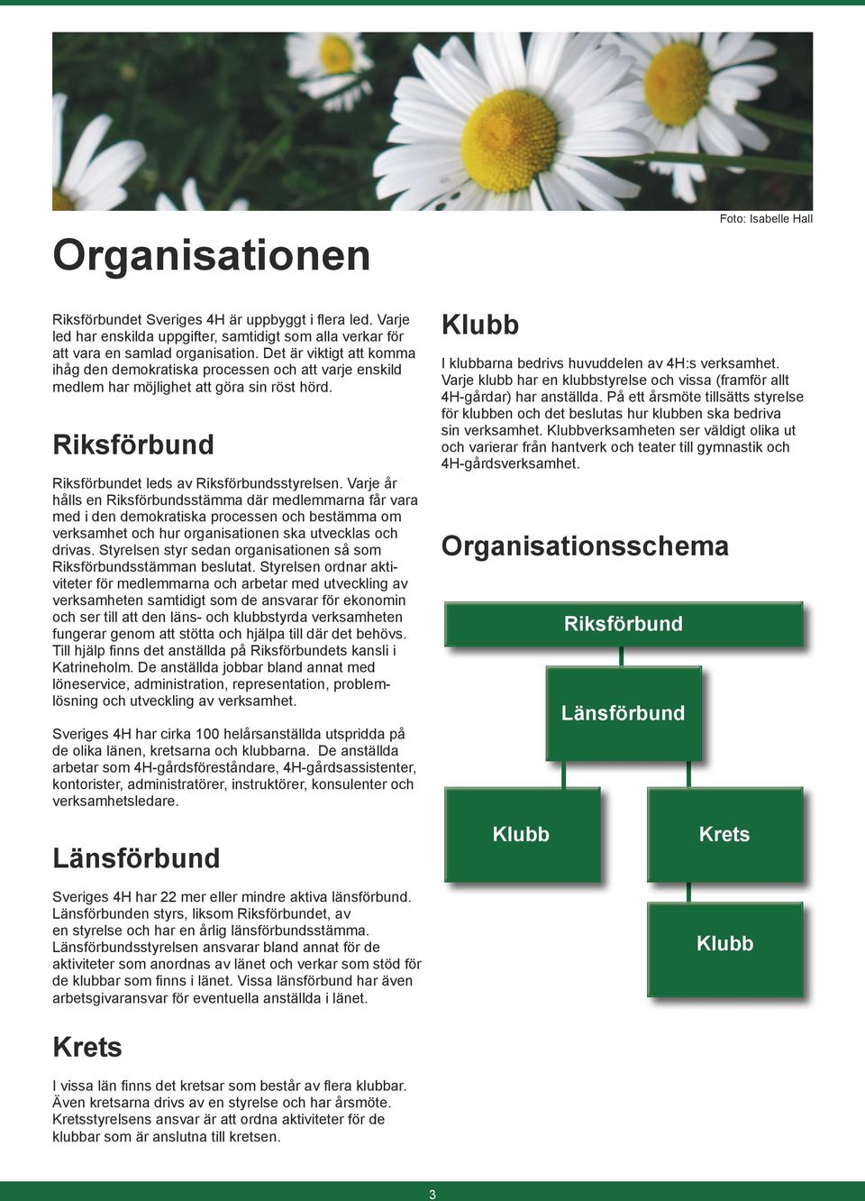 Varje år hålls en Riksförbundsstämma där medlemmarna får vara med i den demokratiska processen och bestämma om verksamhet och hur organisationen ska utvecklas och drivas.