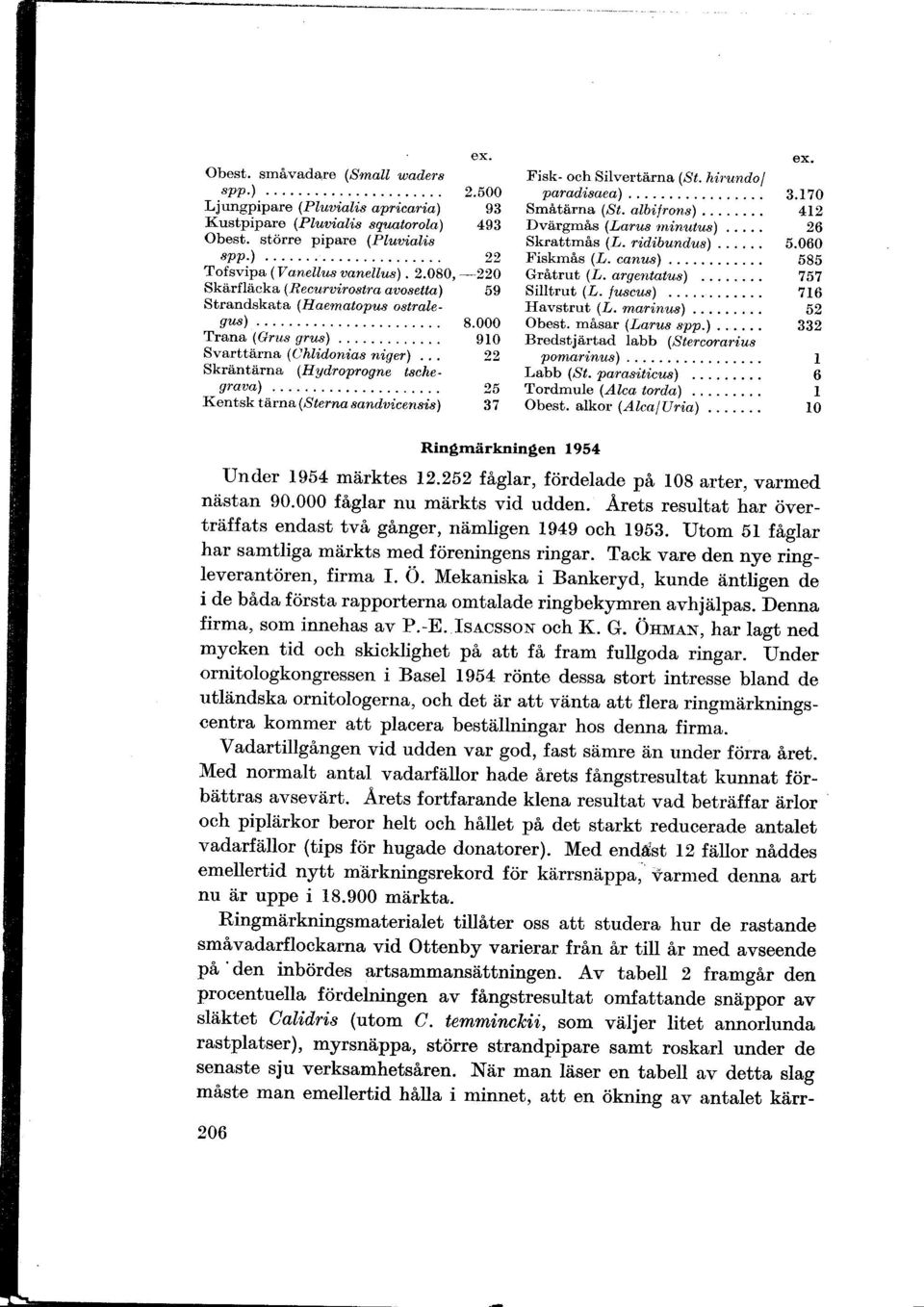 {entsk tärna ( Sterna sandu'icensis) ex..500 93 93.000 910 :i, Fisk och Silvertärna (rst. hirundol paradlisa,ea,) Småtärna (St. alböfrons) Dvärgmås (Larus rninutus),... Skrattmås (L. ridibundus).