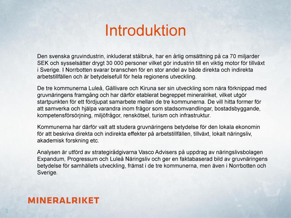 De tre kommunerna Luleå, Gällivare och Kiruna ser sin utveckling som nära förknippad med gruvnäringens framgång och har därför etablerat begreppet mineralriket, vilket utgör startpunkten för ett