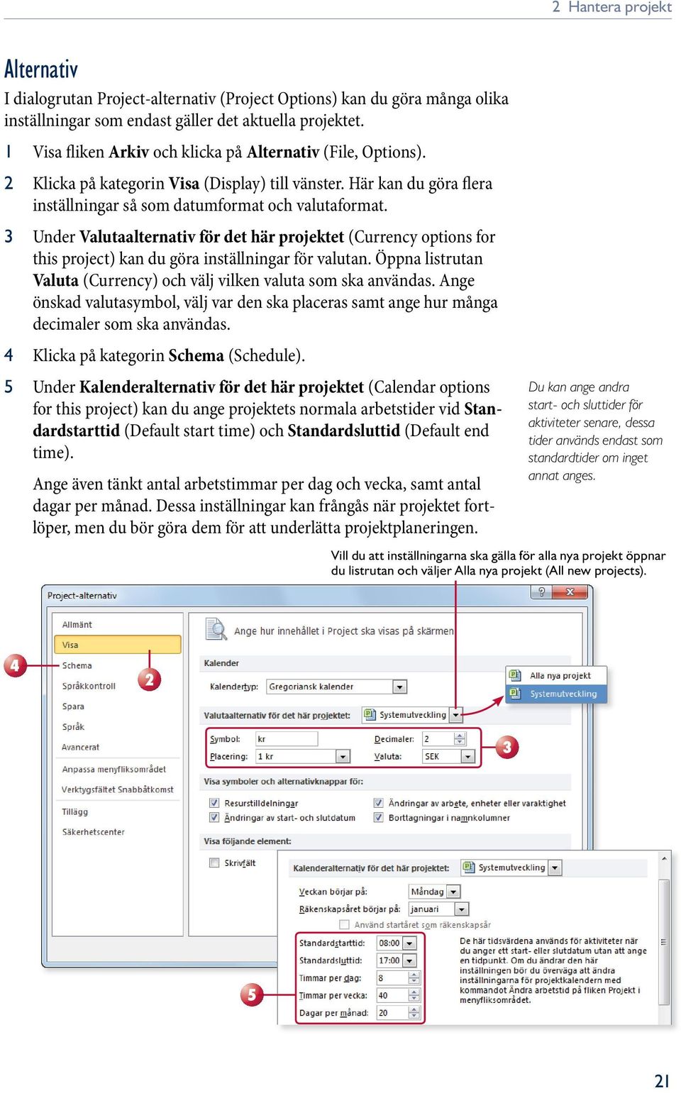 3 Under Valutaalternativ för det här projektet (Currency options for this project) kan du göra inställningar för valutan. Öppna listrutan Valuta (Currency) och välj vilken valuta som ska användas.